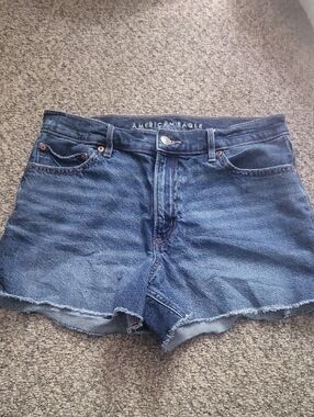 Womens American Eagle Strigid Jean Shorts